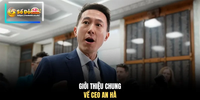 CEO An Hà Xây Dựng Đế Chế SODO66 Phát Triển Bền Vững