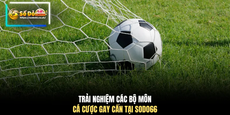 Thể Thao SODO66 - Sảnh Cá Cược Đỉnh Cao Khuấy Đảo Thị Trường